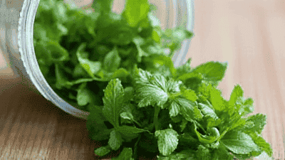 How to Store Fresh Herbs: Extend Their Flavor