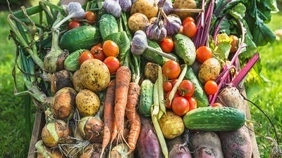 Vitamin Guide: Food Sources from A to Zinc